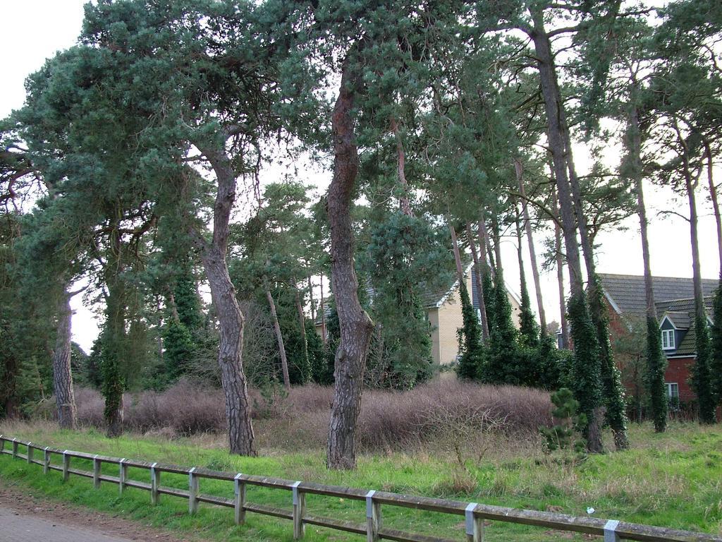 Thistle Cottage Милденхолл Экстерьер фото